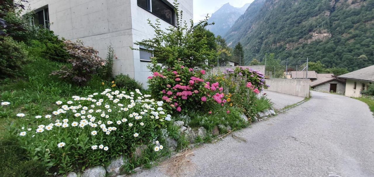 Casa 21 Apartment Sonogno Екстериор снимка